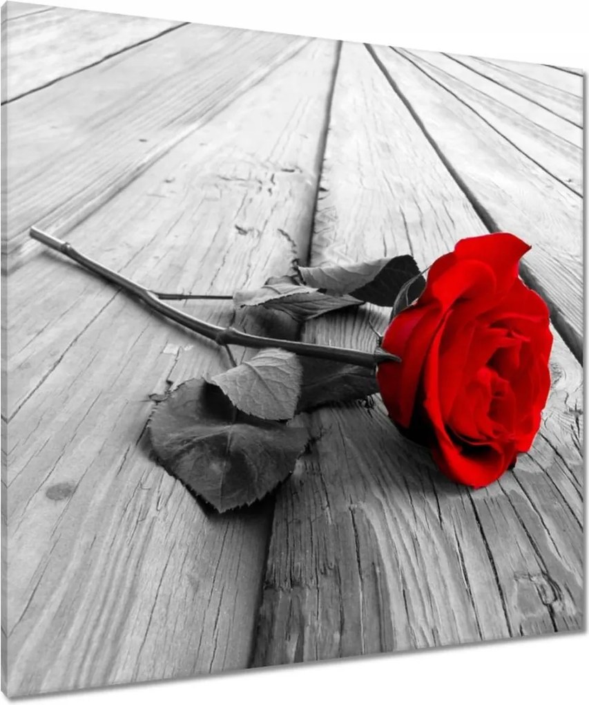 Vászonkép 90x90 Vörös rózsa a deszkákon