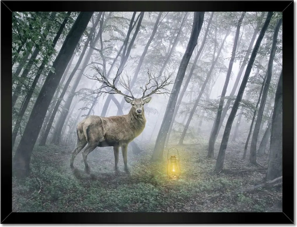 Poszterek keretben 40x30 Szarvas az erdőben