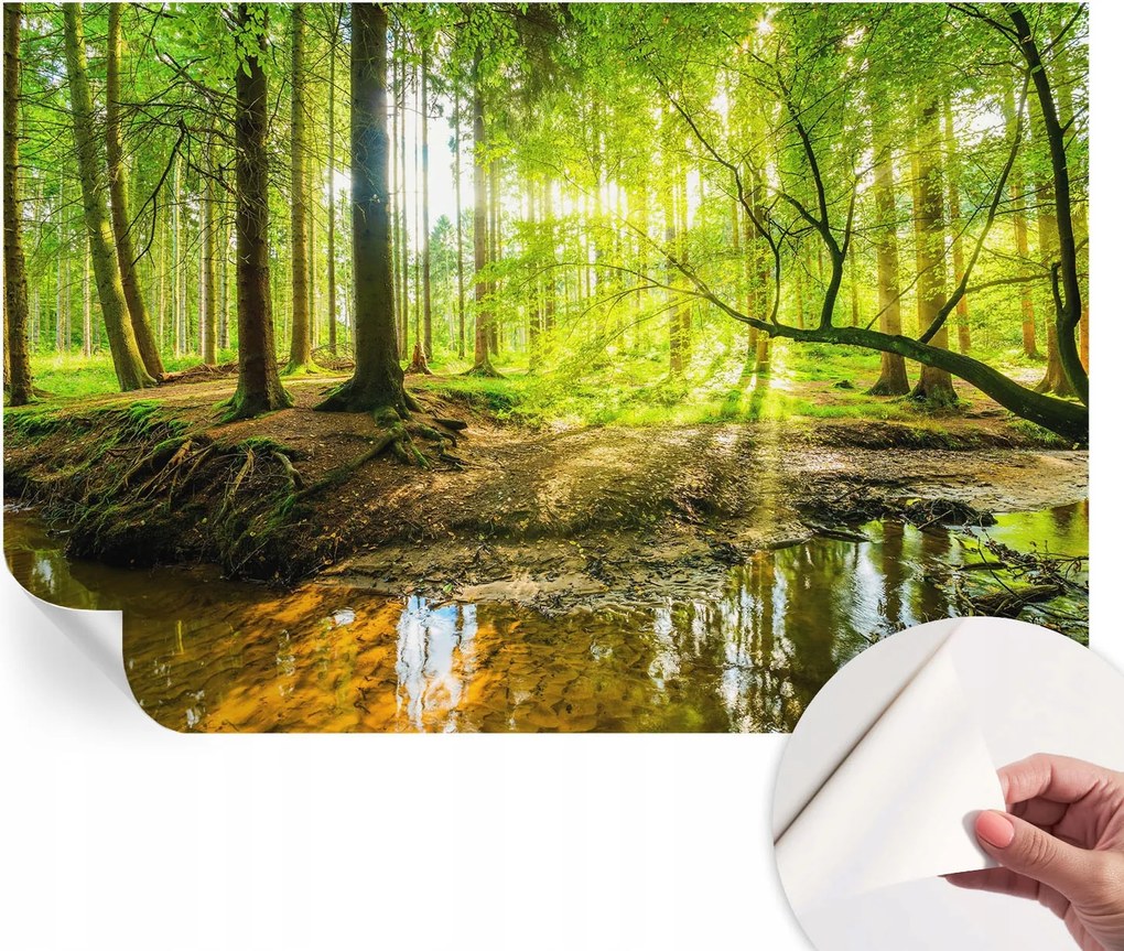 Öntapadós fotótapéta Falra 3D Loft Zöld táj 104x70 cm