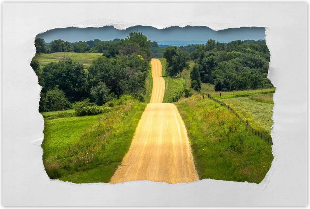 Poszterek 120x80 Út Rét Mező Erdő