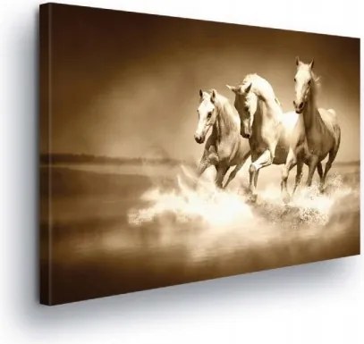 Vászonkép 80x60 Lovak futás mozgás víz fröccsenő víz sebesség erő szabadság dinamika