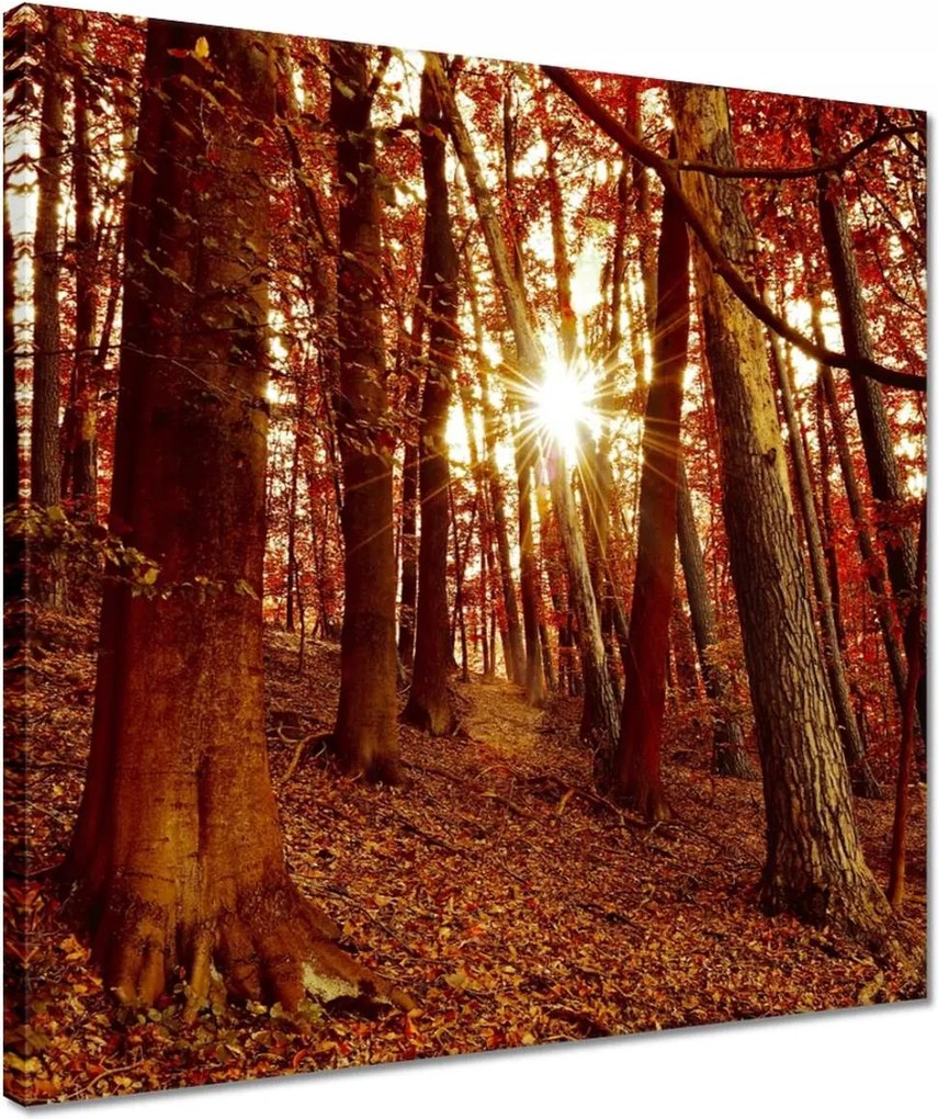 Vászonkép 40x40 Tájkép Látvány