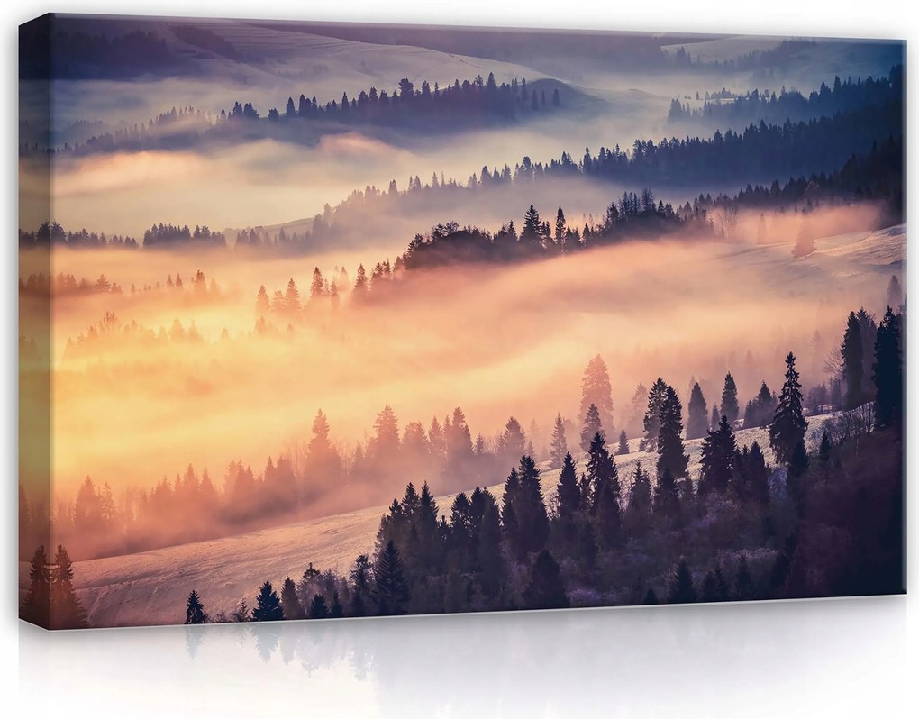 Vászonkép 60x40 Ködös erdő reggeli köd hegyek hajnal természet nyugalom