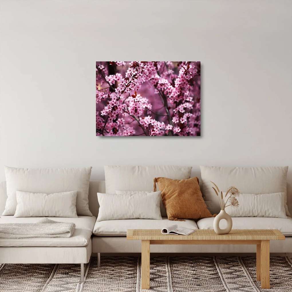 Üveg kép - Rózsaszín sakura (70x50 cm)