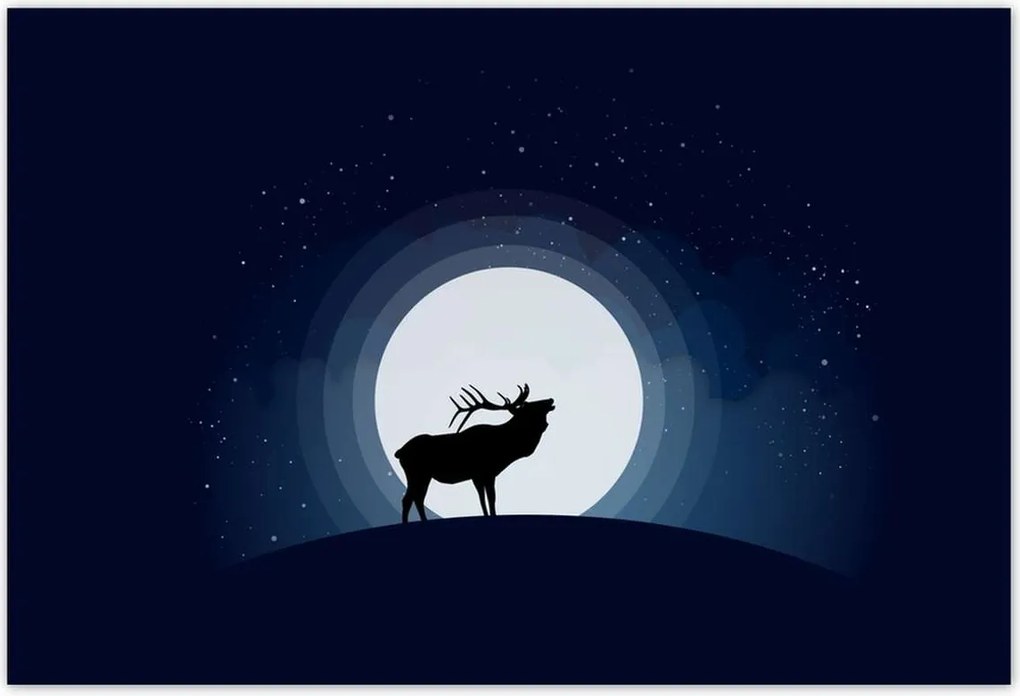 Poszterek 200x135 Szarvas felszarvazott