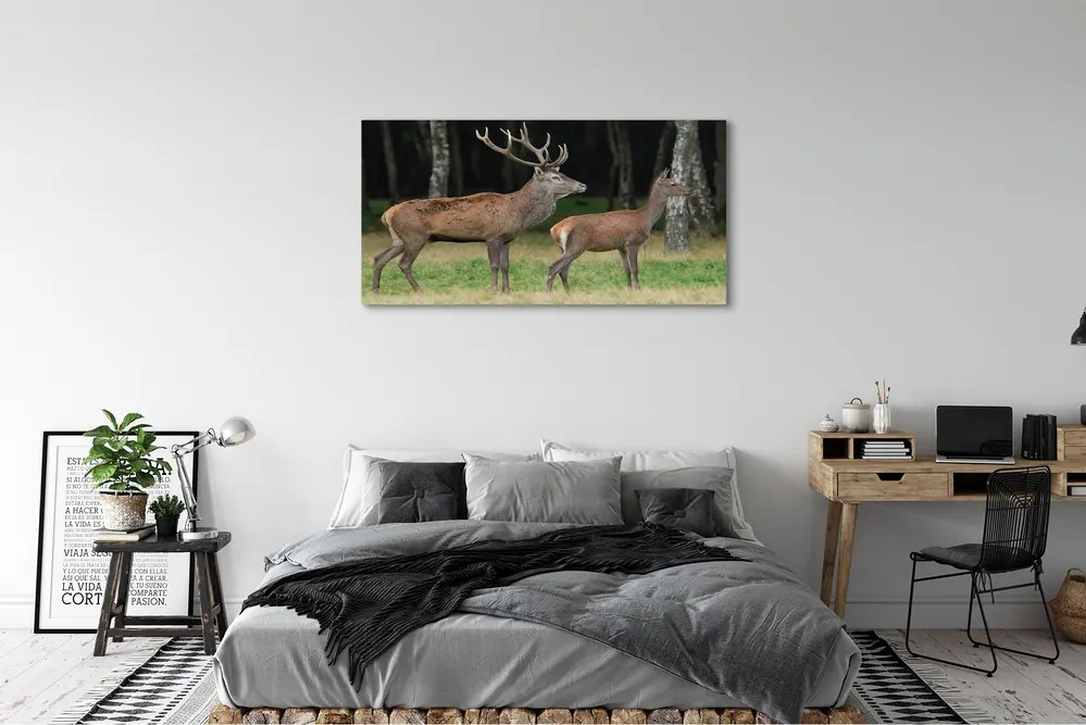 Canvas képek szarvas erdei 140x70 cm