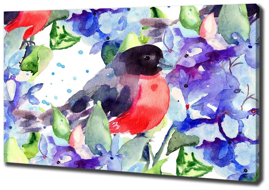 Vászonkép Bird és virágok pl-oc-100x70-f-57455538