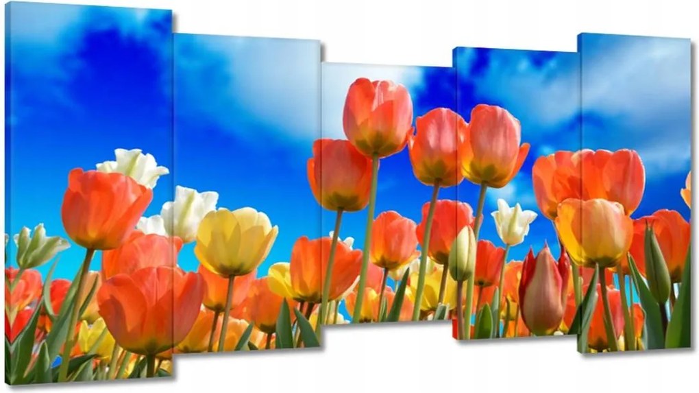 Vászonkép 150x80 Színes tulipánok