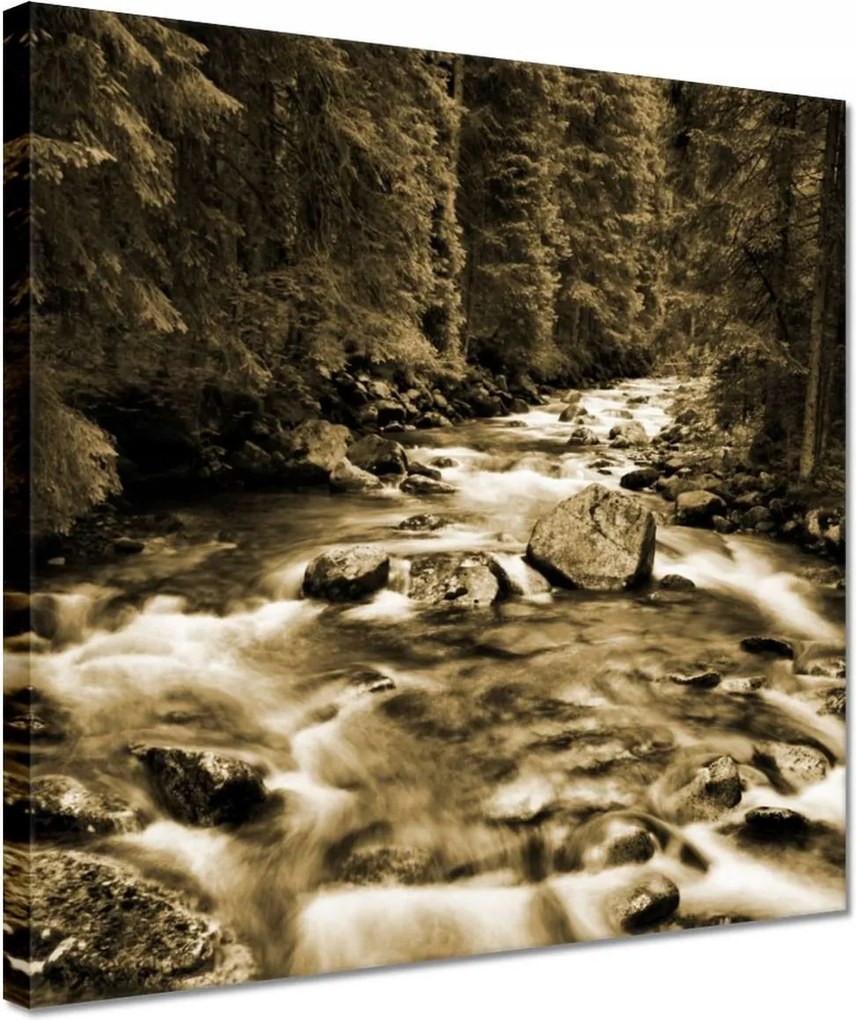 Vászonkép 30x30 Tátra Lengyel hegyek Kilátás