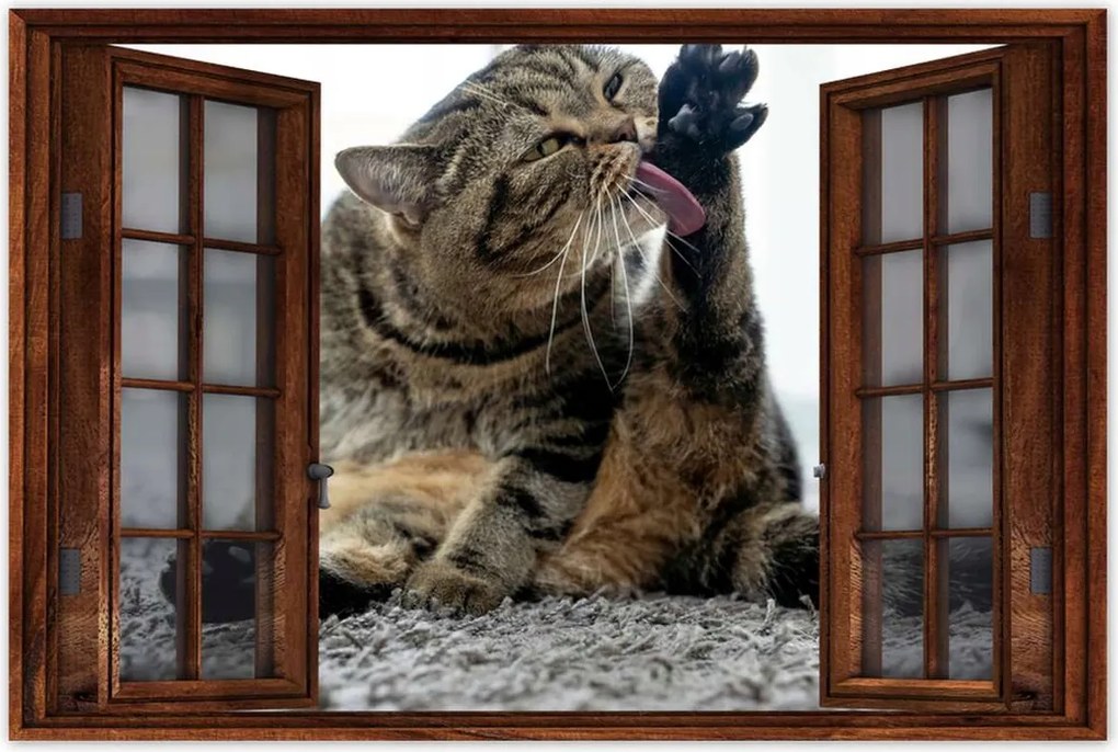 Poszterek 90x60 Cica Cicák