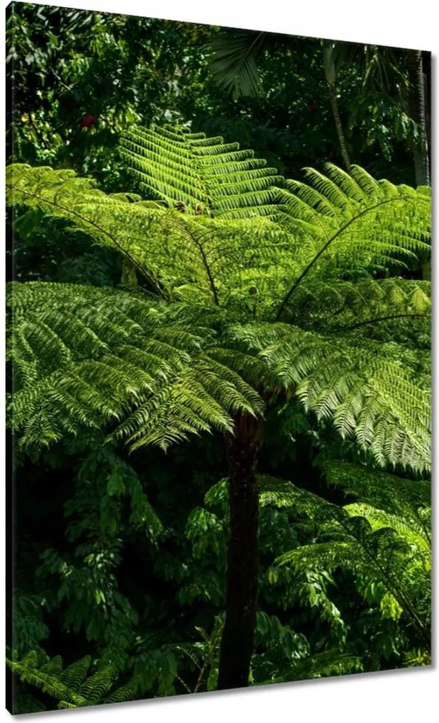 Vászonkép 70x100 Virágok