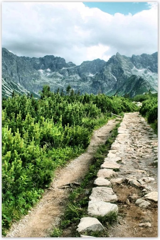 Poszterek 80x120 Kő út Tátra