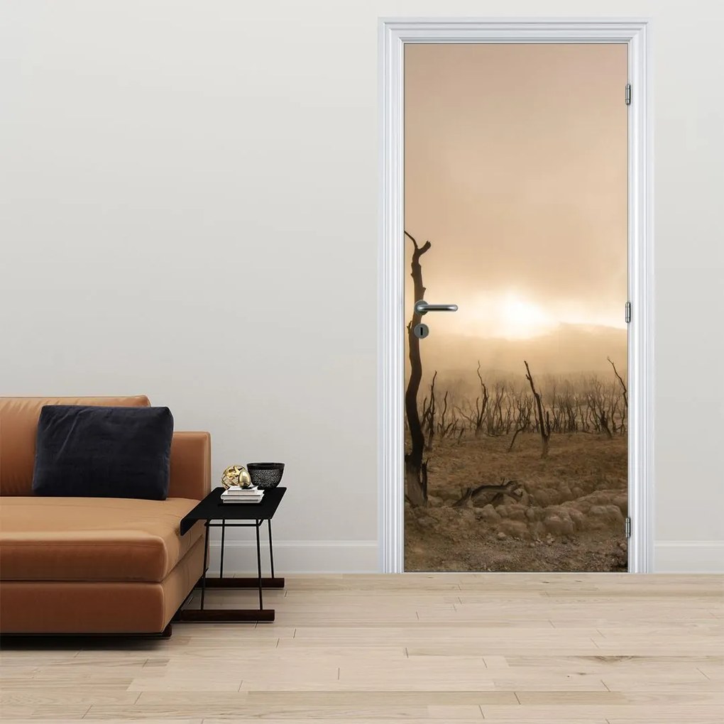 Fotótapéta ajtóra - Csupasz fák (95x205cm)