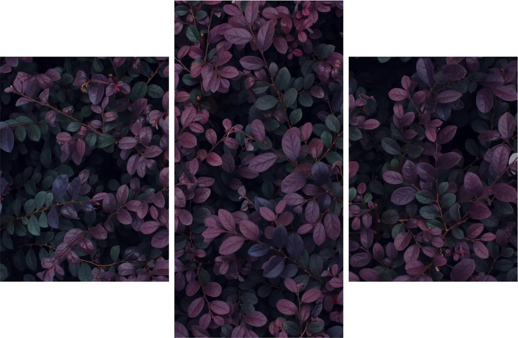 Sötétvörös levelek képe (90x60 cm)