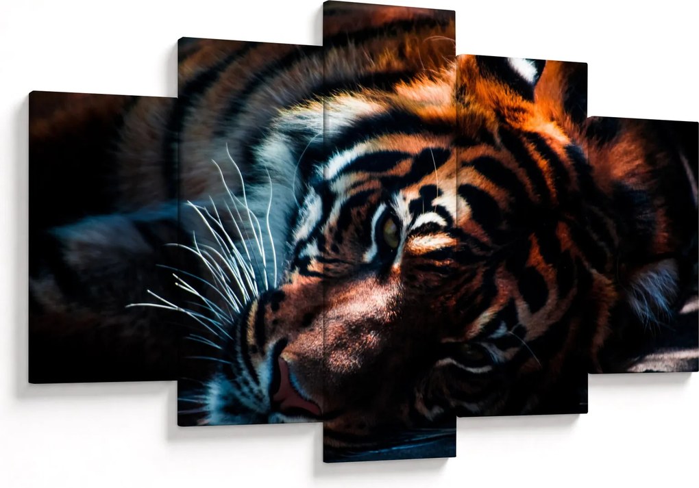 Egy fekvő tigris képe (150x105 cm)