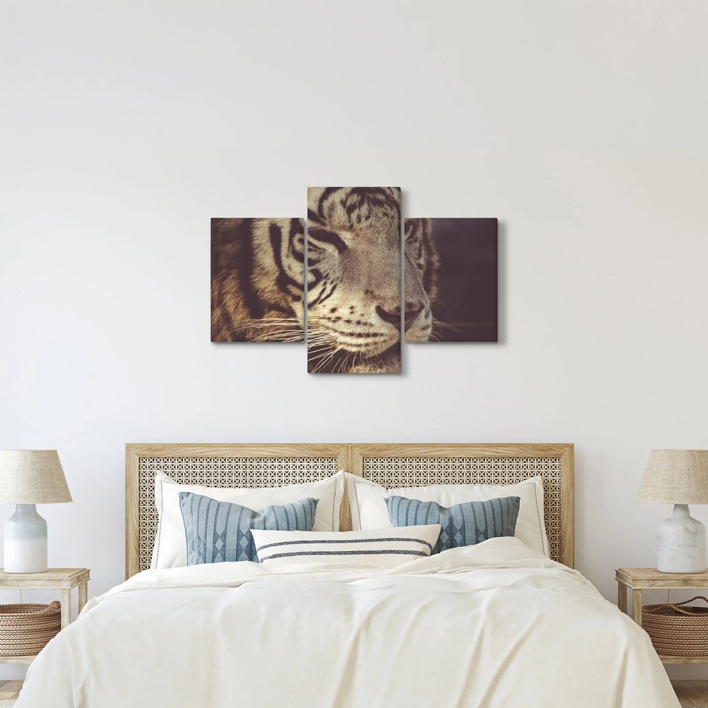 Tigris képe (90x60 cm)