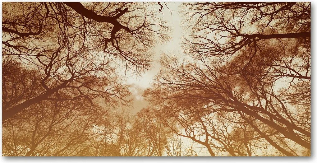 Edzett üveg panel konyhába Erdő 120x60 Ragasztó