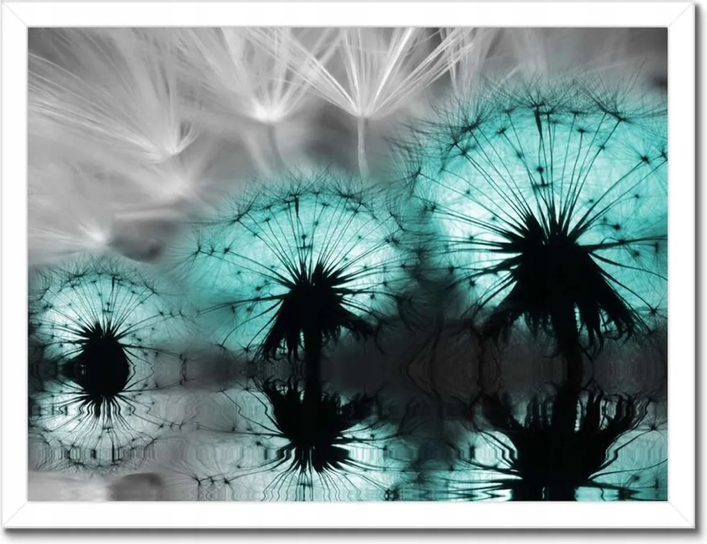 Poszterek keretben 40x30 Türkiz pitypangok