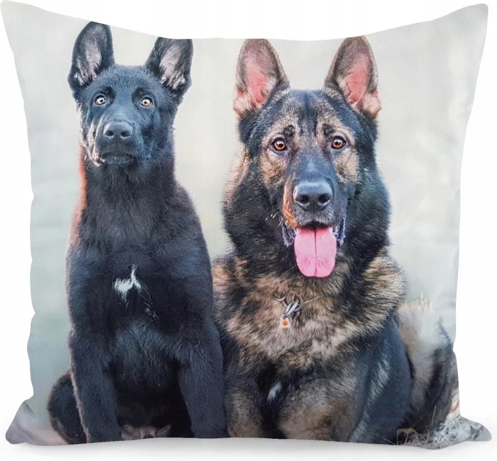 Dekorációs Párnahuzat Jancsi 40x40 Velúr Szép