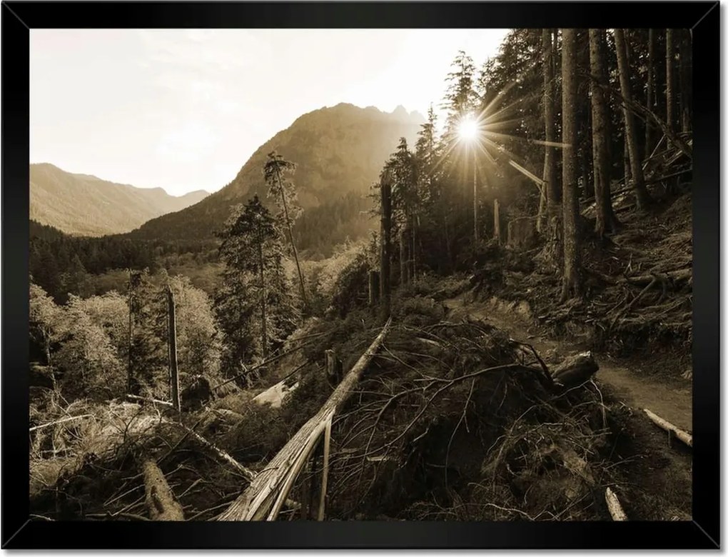 Poszterek keretben 40x30 Szépia tájkép Szépia