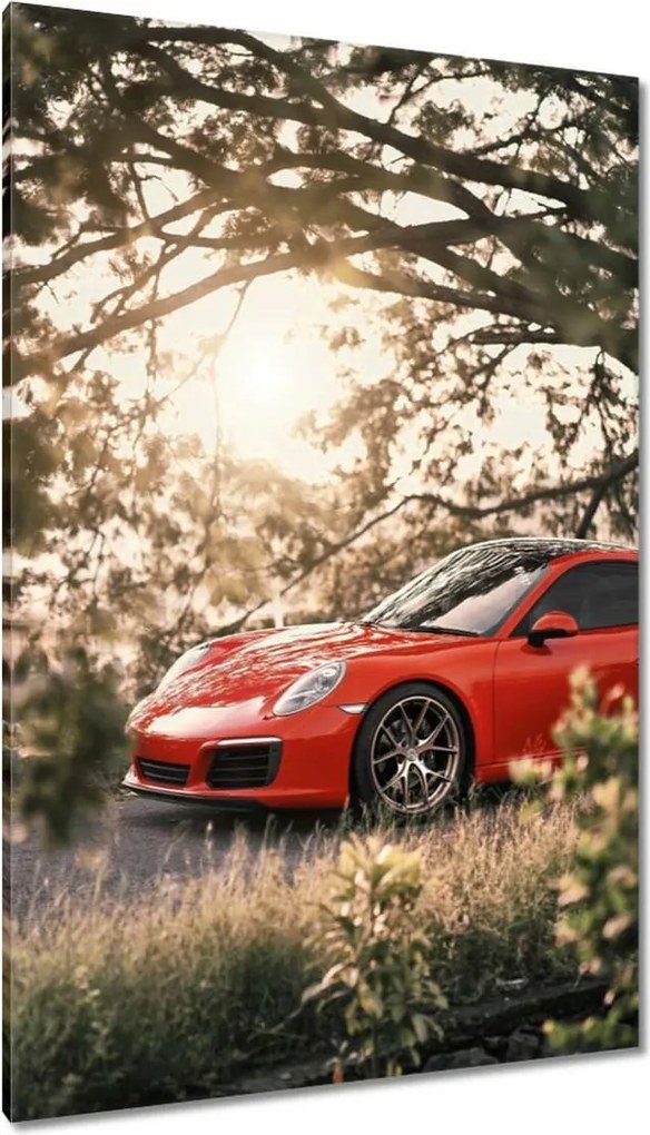 Vászonkép 80x120 Autó Fura Sport