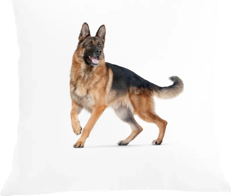 Párna párnahuzat Német juhászkutya Ajándék