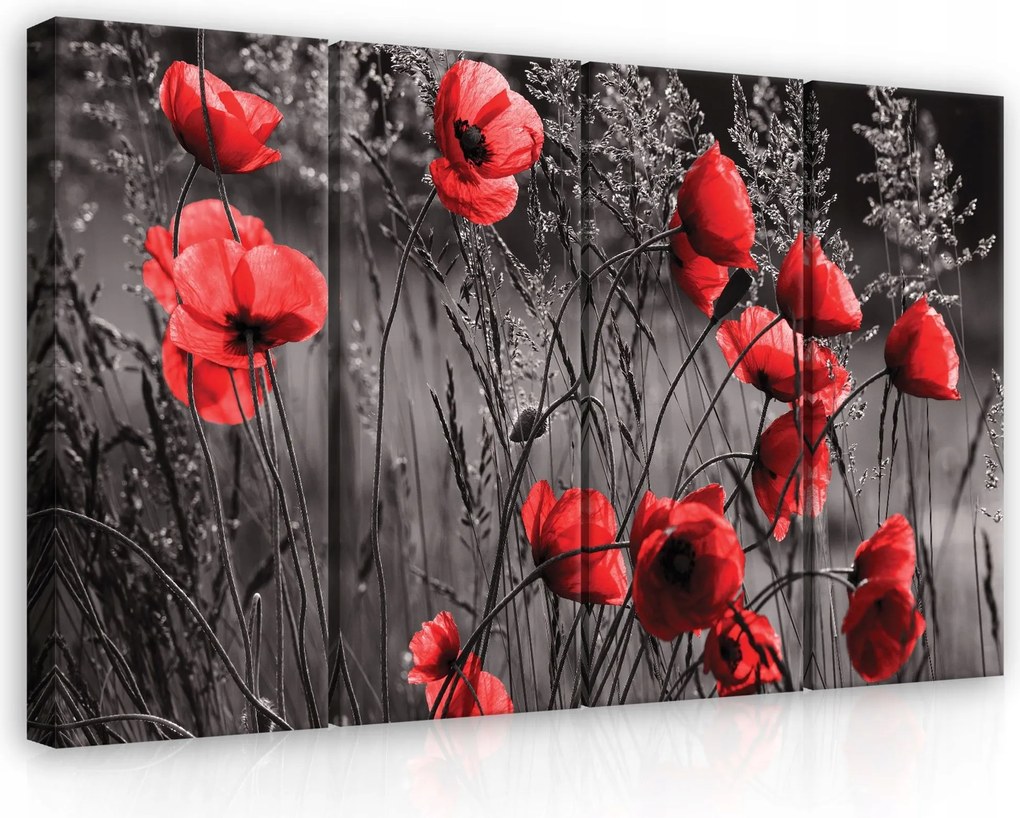 Vászonkép 120x80 Pipacsok mezei virágok fali dekoráció természet nyár mező virágok