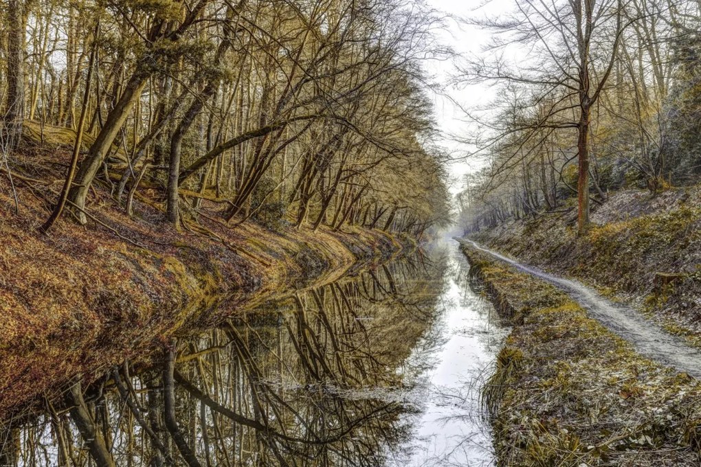 Poszter 91,5x61cm Csatorna az erdőben, Assaf Frank