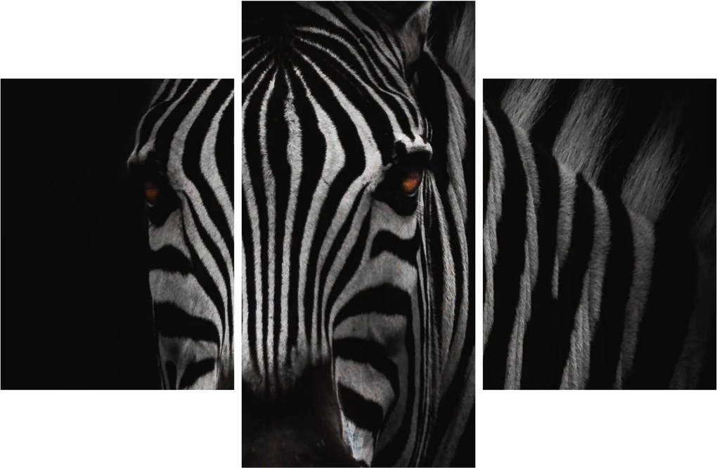 Zebra képe (90x60 cm)