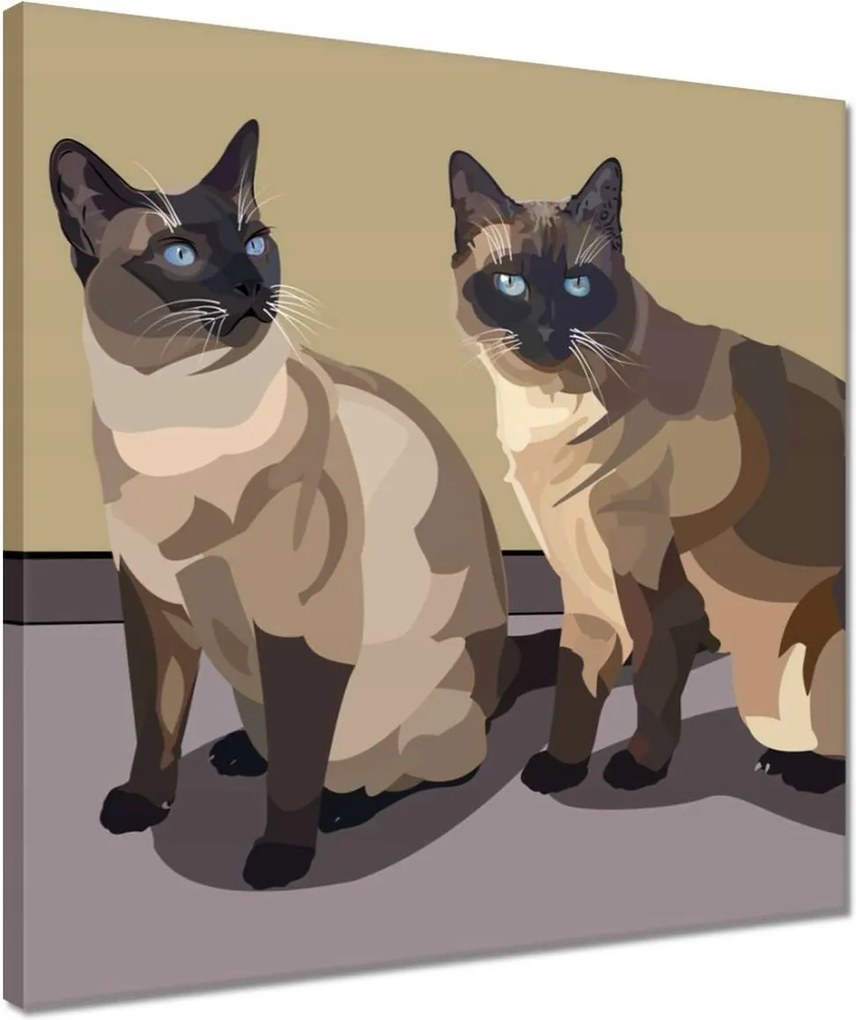 Vászonkép 40x40 Cica Cicák Macskák