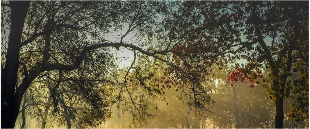 Napkelte képe (120x50 cm)
