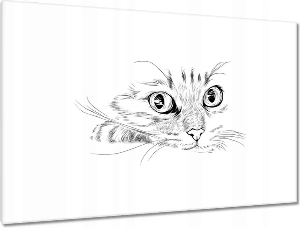 Képek 120x80 Cica Cicák Macskák