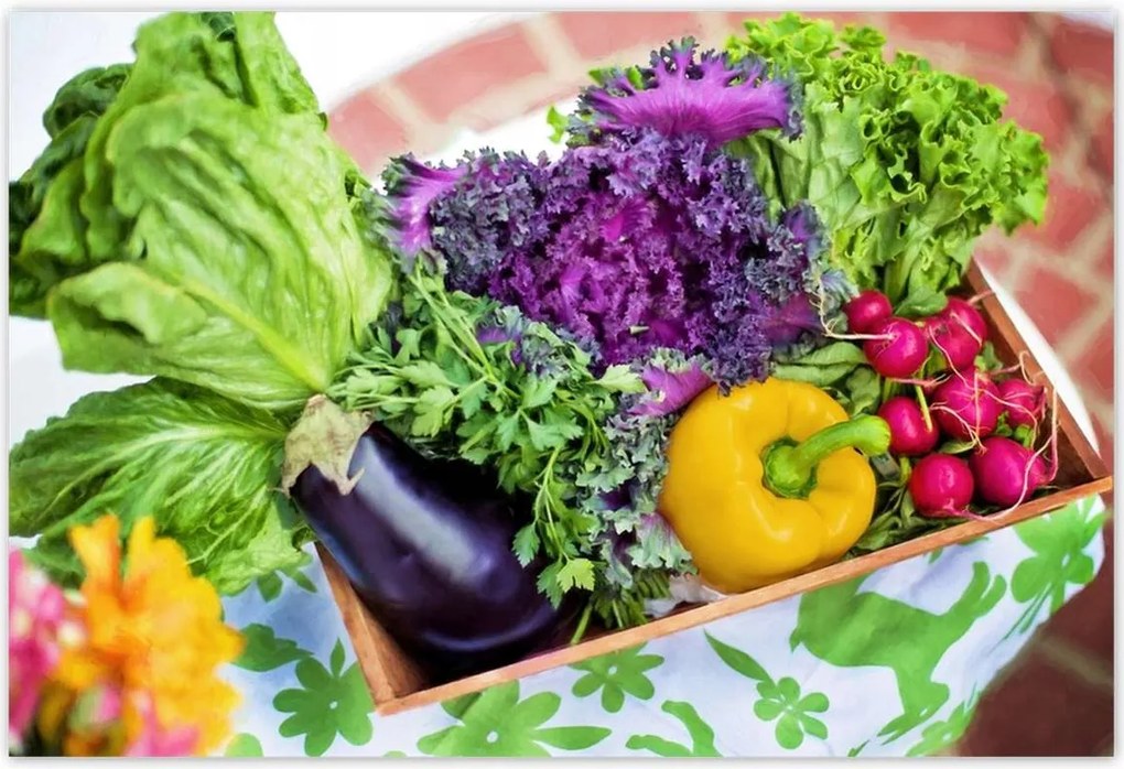 Poszterek 200x135 Zöldségek