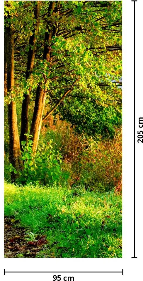 Fotótapéta ajtóra - Sétány a víz mentén (95x205cm)