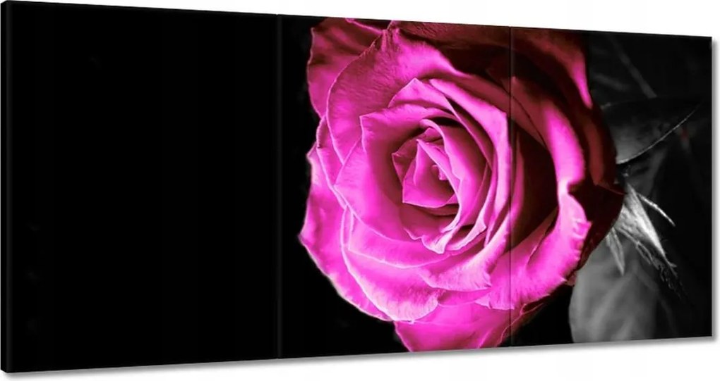 Vászonkép 180x90 Rózsa lila