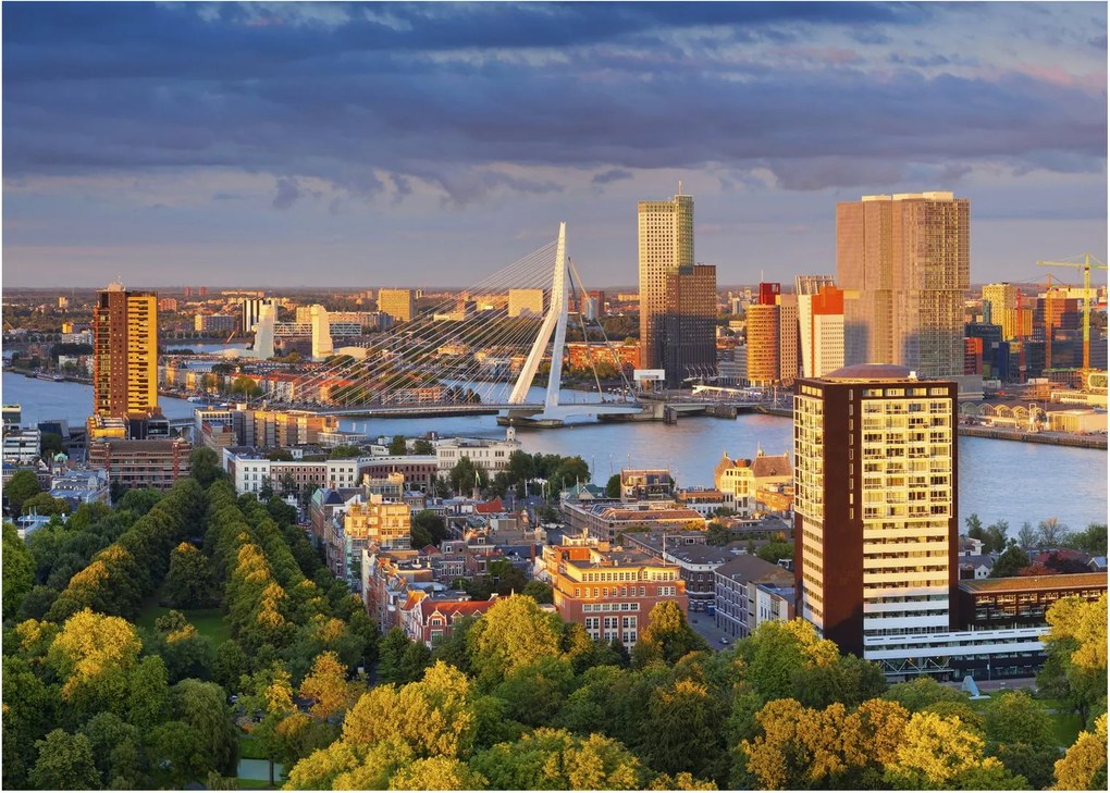 Kép - panoráma Rotterdam, Hollandia (üvegen) (70x50 cm)