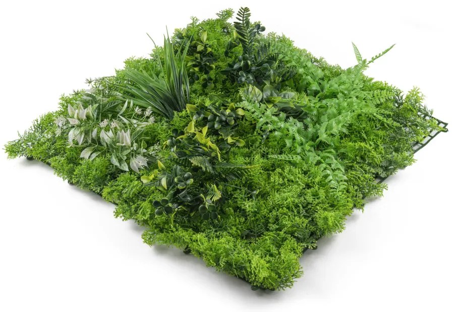 Mű zöld fal G21 Listo River, 50×50 cm