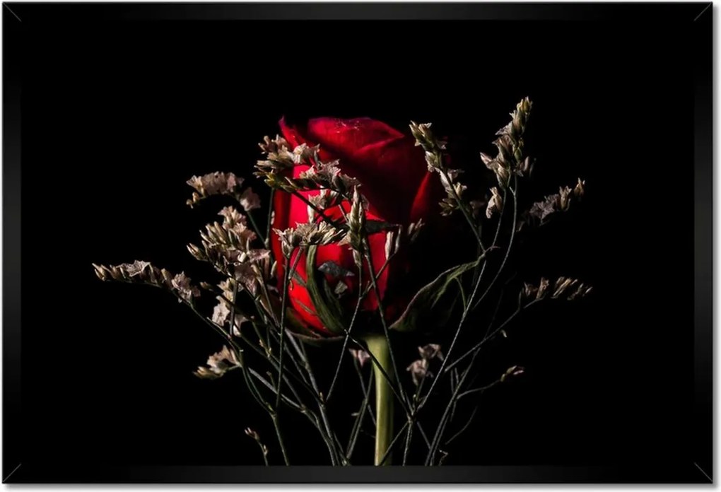 Poszter keretben 60x40 Rózsa Virág Virágok Rózsa