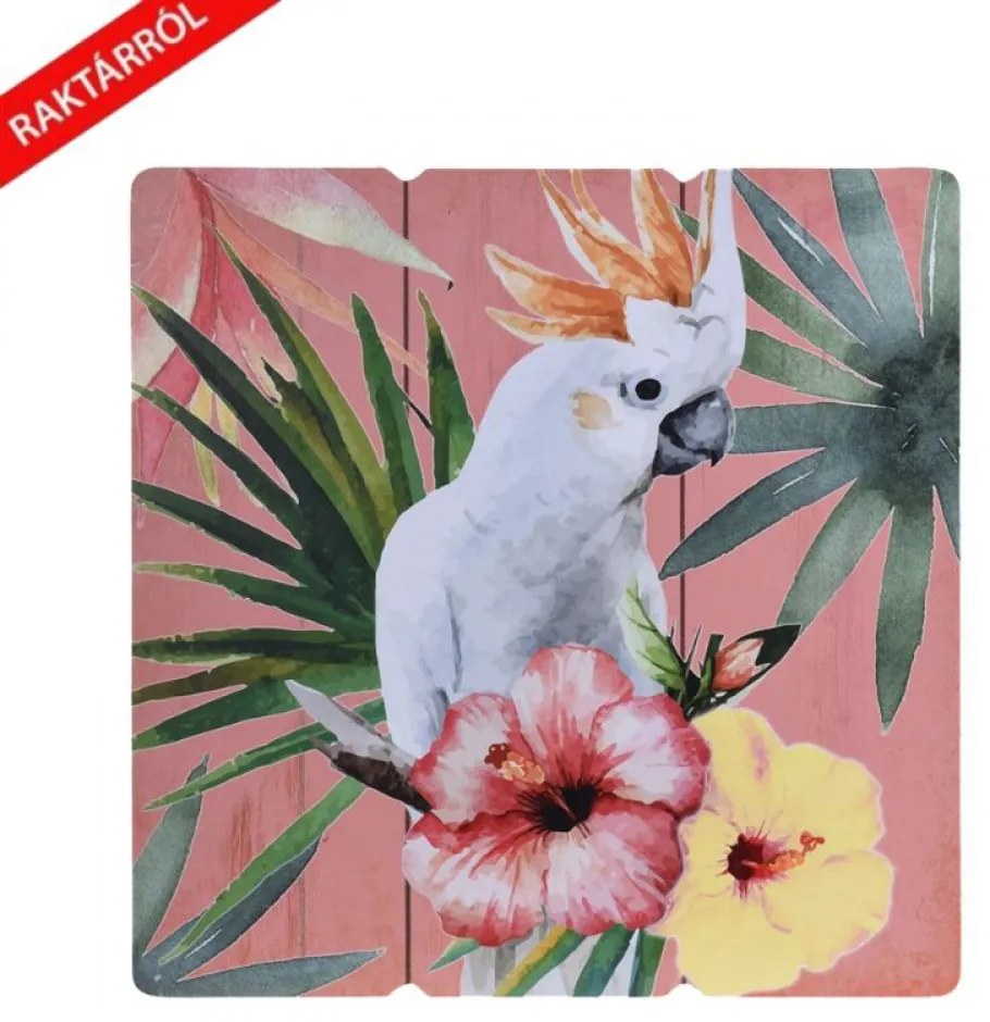 Birdie papagájos falikép 38 x 38 cm