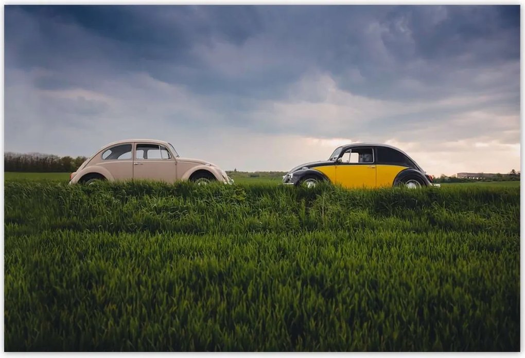 Poszterek 185x125 Volkswagen Bogár