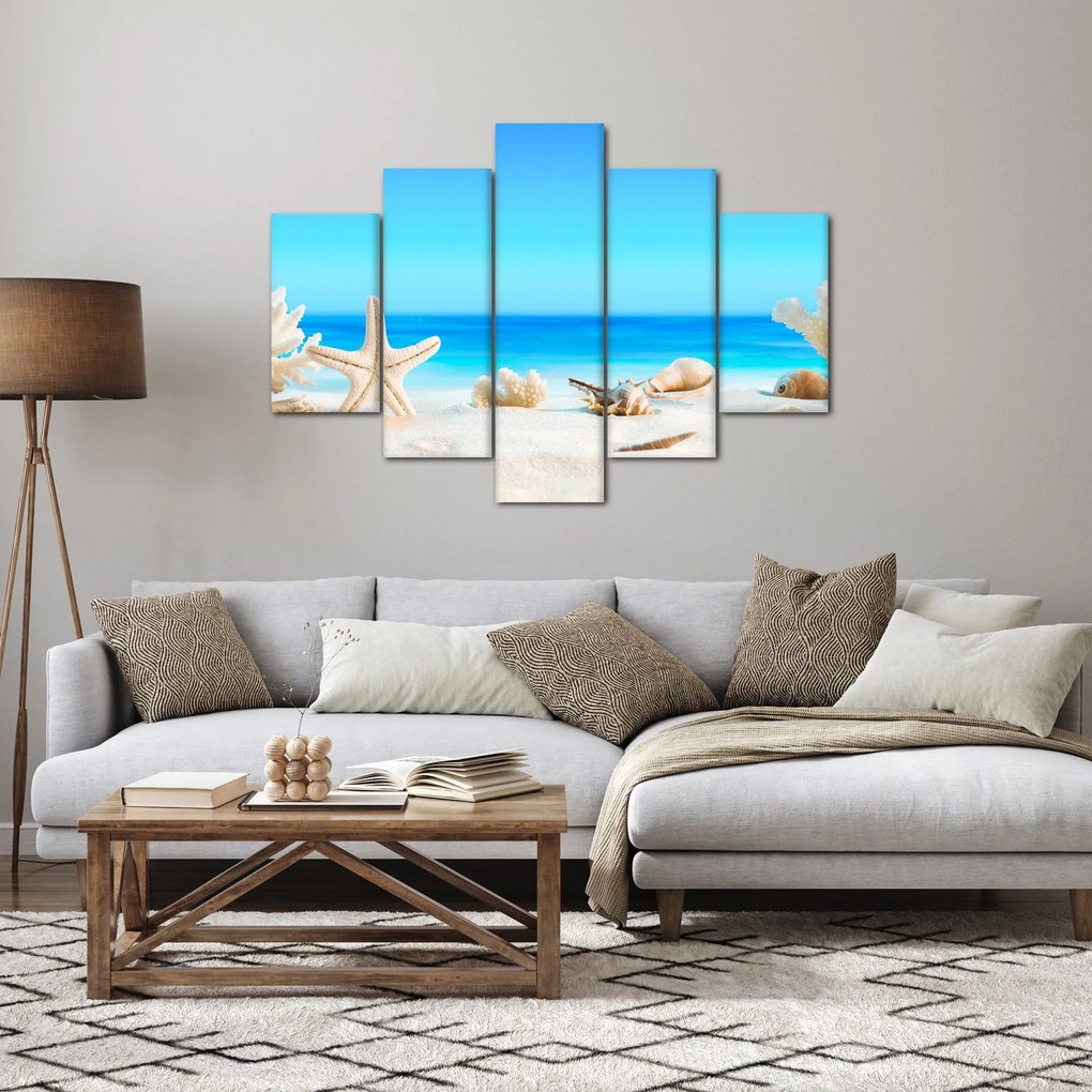 Kép - Csendélet kagylóval (150x105 cm)