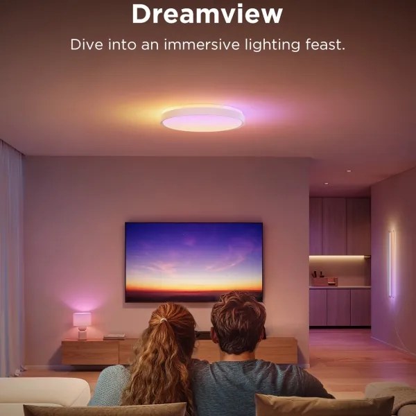 Govee - LED RGBIC Dimmelhető mennyezeti lámpa LED/49W/230V 2700-6500K Wi-Fi