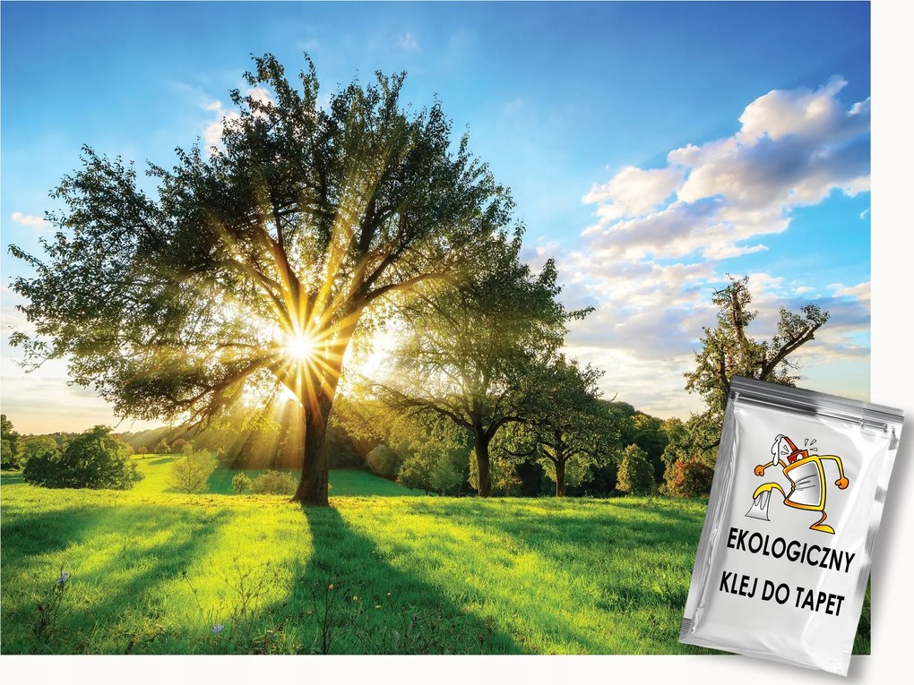 Fotótapéta Flizelina Tájkép Természet Fa Nap Mező 150x105 ragasztó