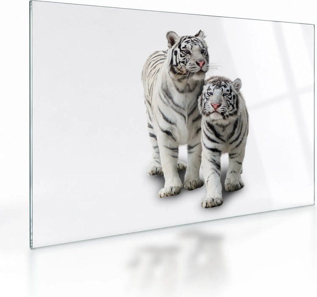 Üveg kép - A fehér tigris (70x50 cm)