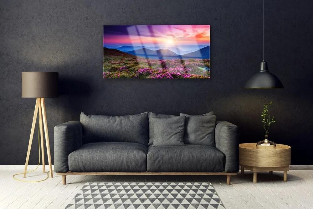 Akril üveg kép Sun Mountain Meadow Landscape 100x50 cm