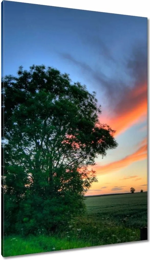 Vászonkép 80x120 Lángoló égbolt