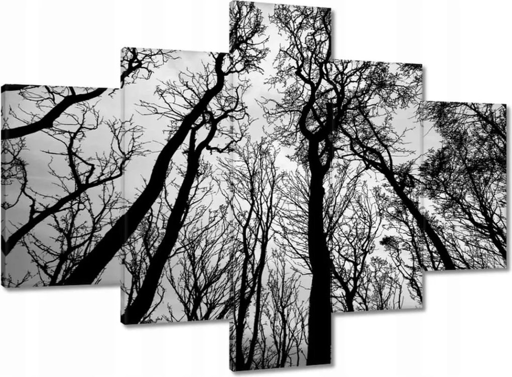 Vászonkép 100x70 Erdő Fák Kilátás alulról