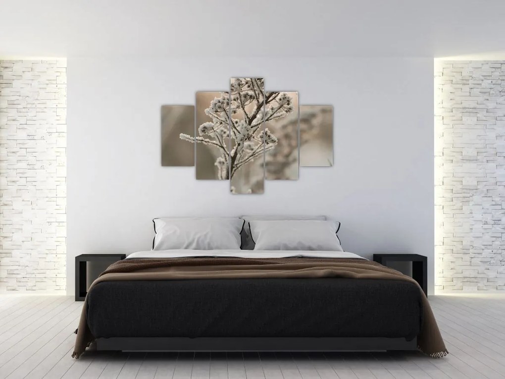 Kép - Növény fagyban (150x105 cm)