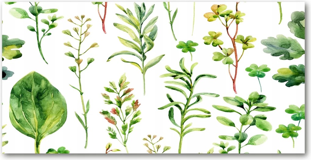 Fotótapéta üvegfalra Gyógynövények és gyomok 140x70