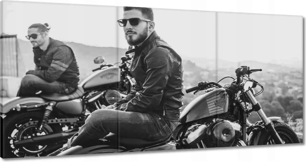 Képek 180x90 Harley Davidson Motorkerékpár